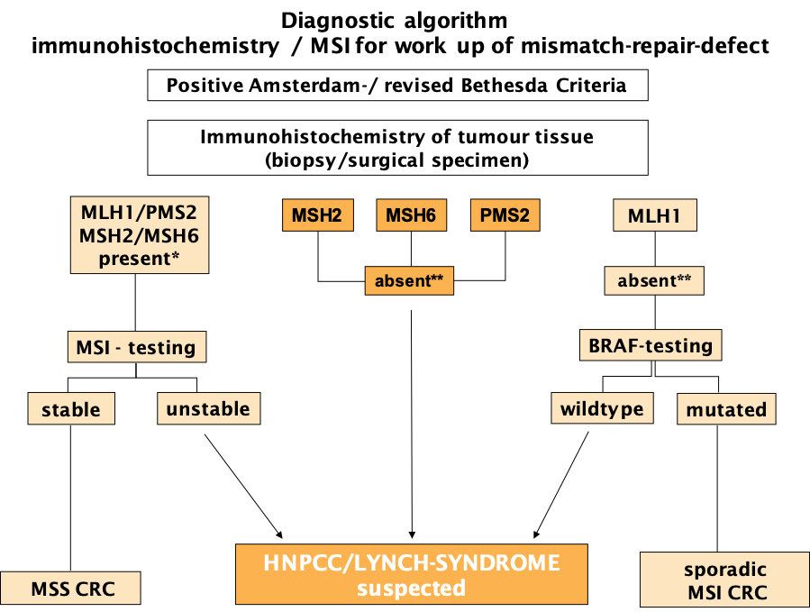 Diagnostic algorithm immunohistochemistry / MSI for work up of mismatch-repair-defect