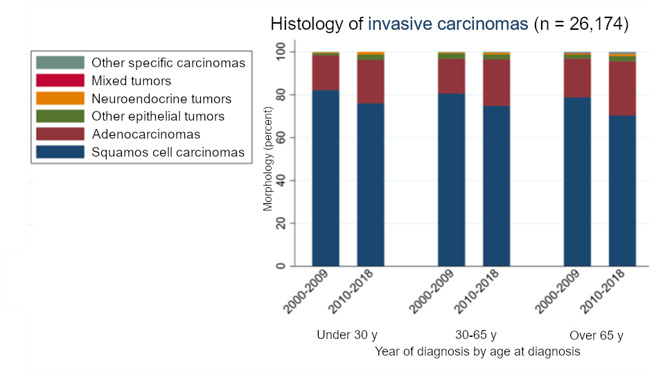 Morphology of cervical carcinoma. Source: Arbeitsgemeinschaft Deutscher Tumorzentren, 2021 [24]