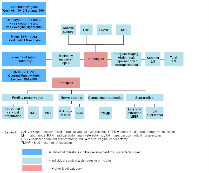 Surgical techniques and principles (2014, 2021)