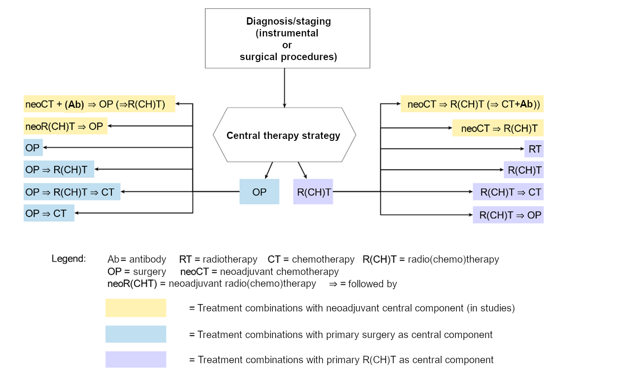 Types of treatment and combinations of them for women with primary cervical carcinoma (not all are standard procedures, and not all have been investigated in larger prospective and randomized studies) (2021)
