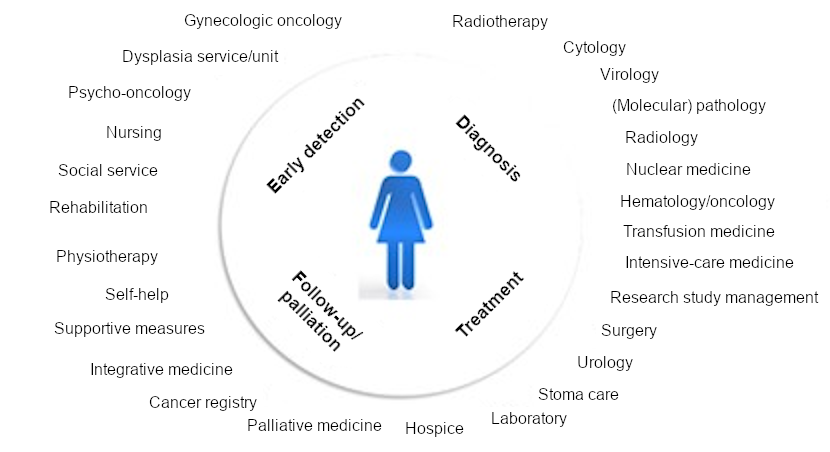 Certified gynecological cancer center: network and tasks for patients with cervical carcinoma