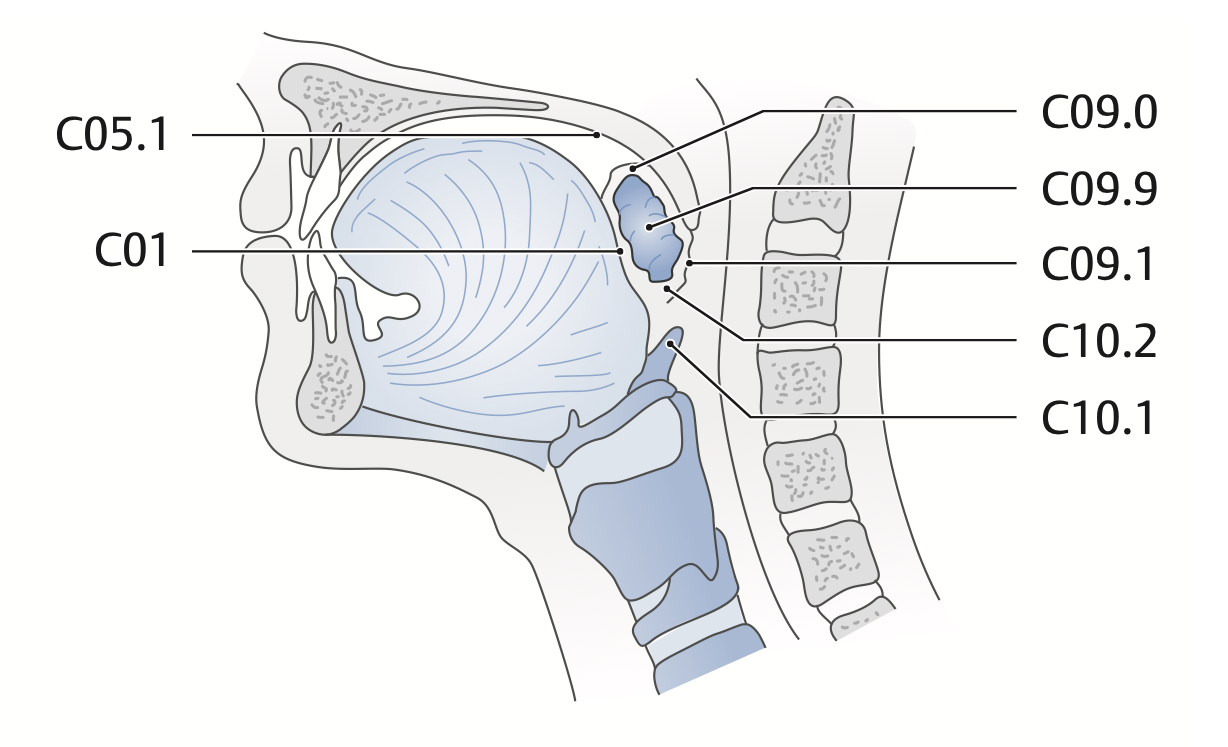 Piktogramm Oropharynx seitlich (Frenzel 2012)