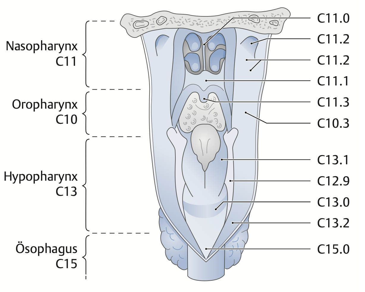 Piktogramm Oropharynx von hinten