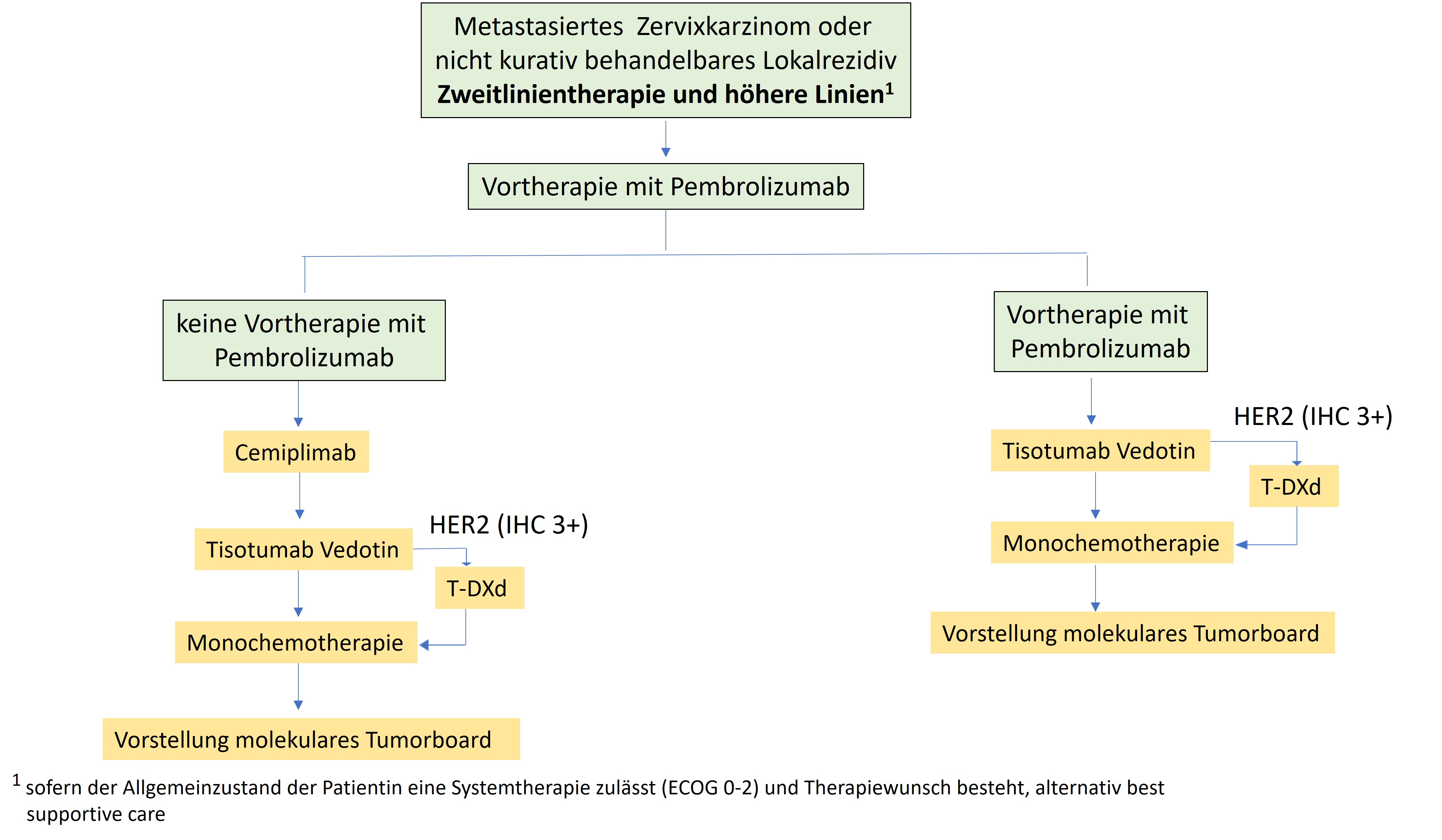 Therapiealgorithmus Zweitlinientherapie und höhere Linien
