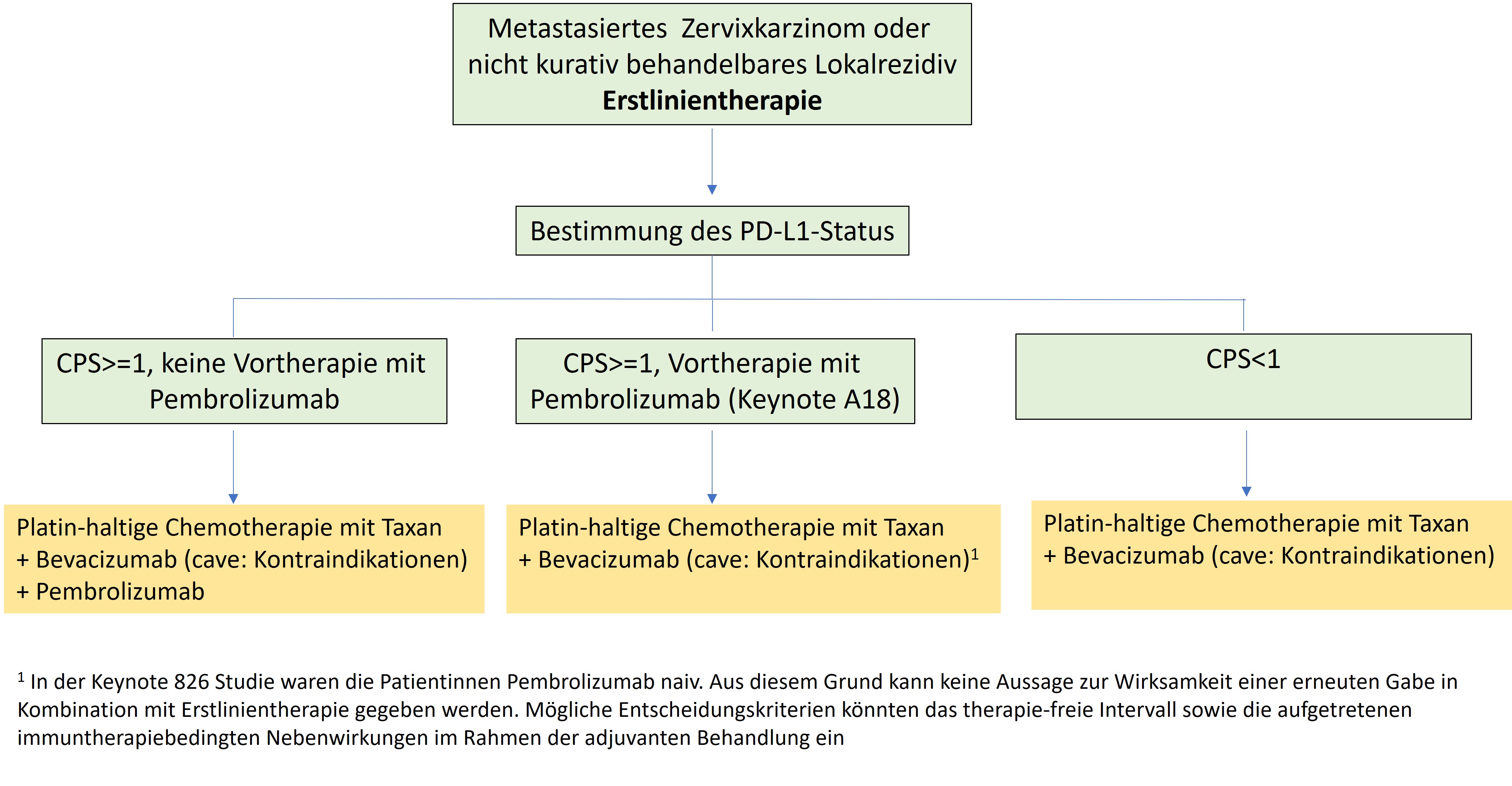 Therapiealgorithmus Erstlinientherapie