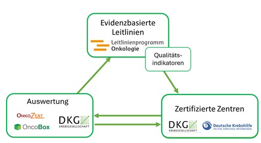 Qualitätszyklus Onkologie