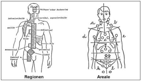 Schematische Darstellung der Lymphknoten Regionen und Areale