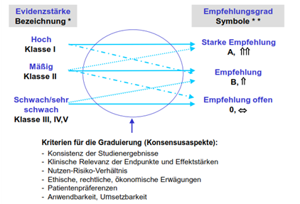 Schema zur Darstellung der kriteriengestützen Entscheidungsprozesse bei der Wahl des Empfehlungsgrades