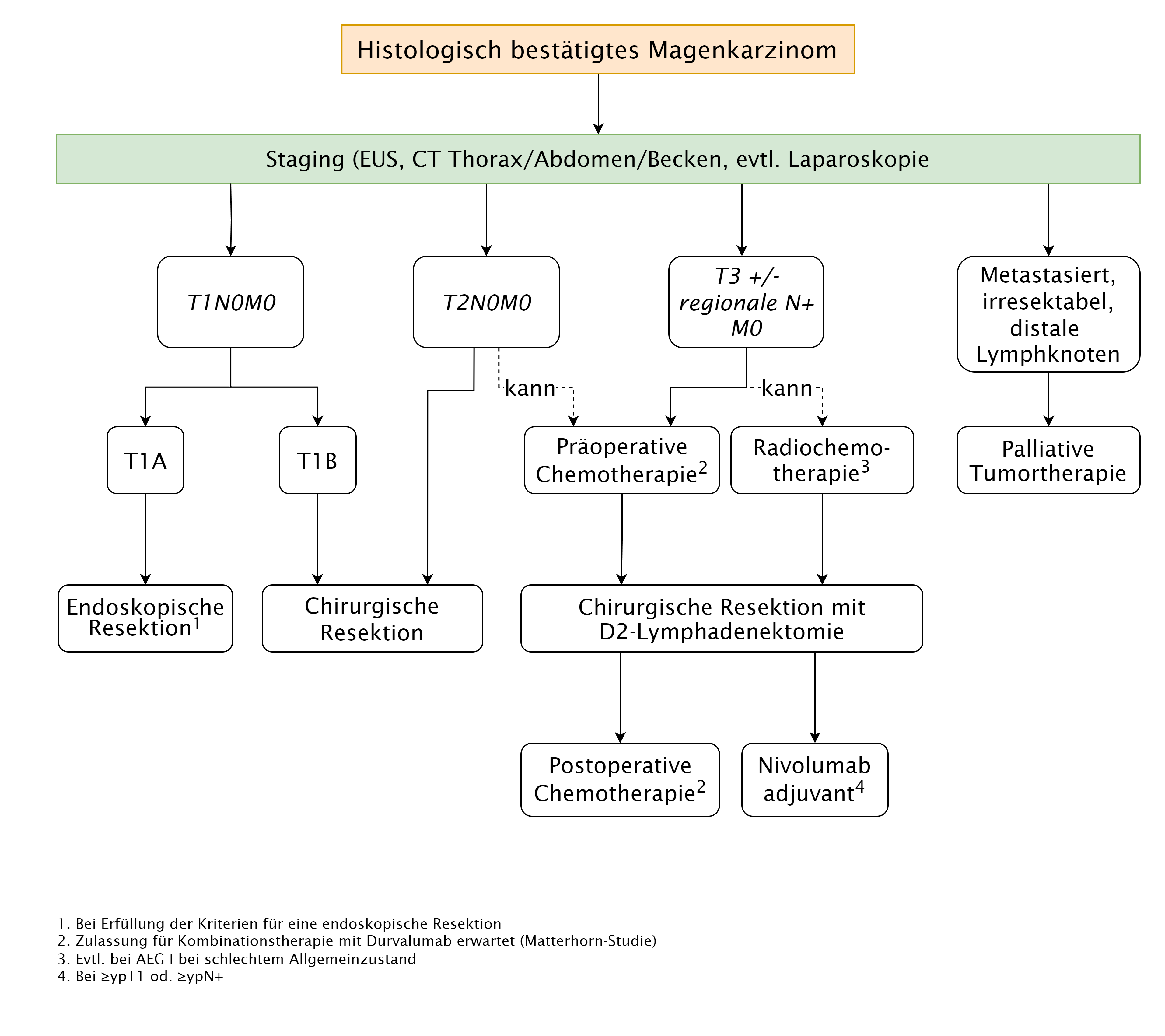 Therapiealgorithmus