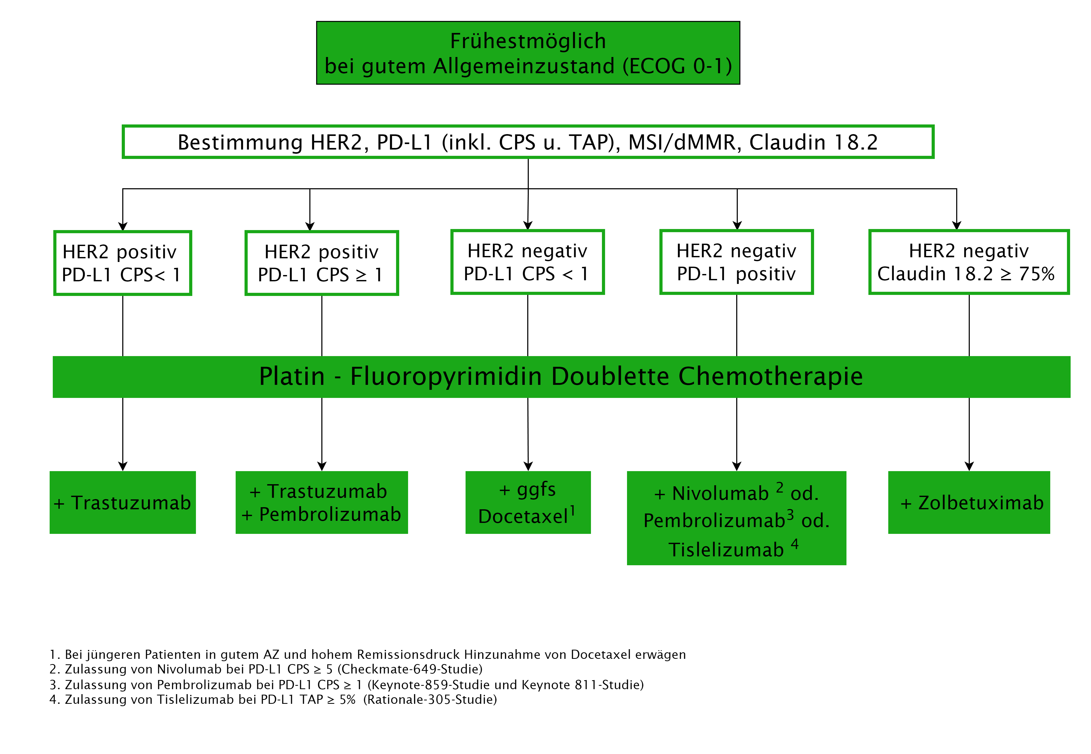 Flowchart zur Erstlinientherapie beim Magenkarzinom