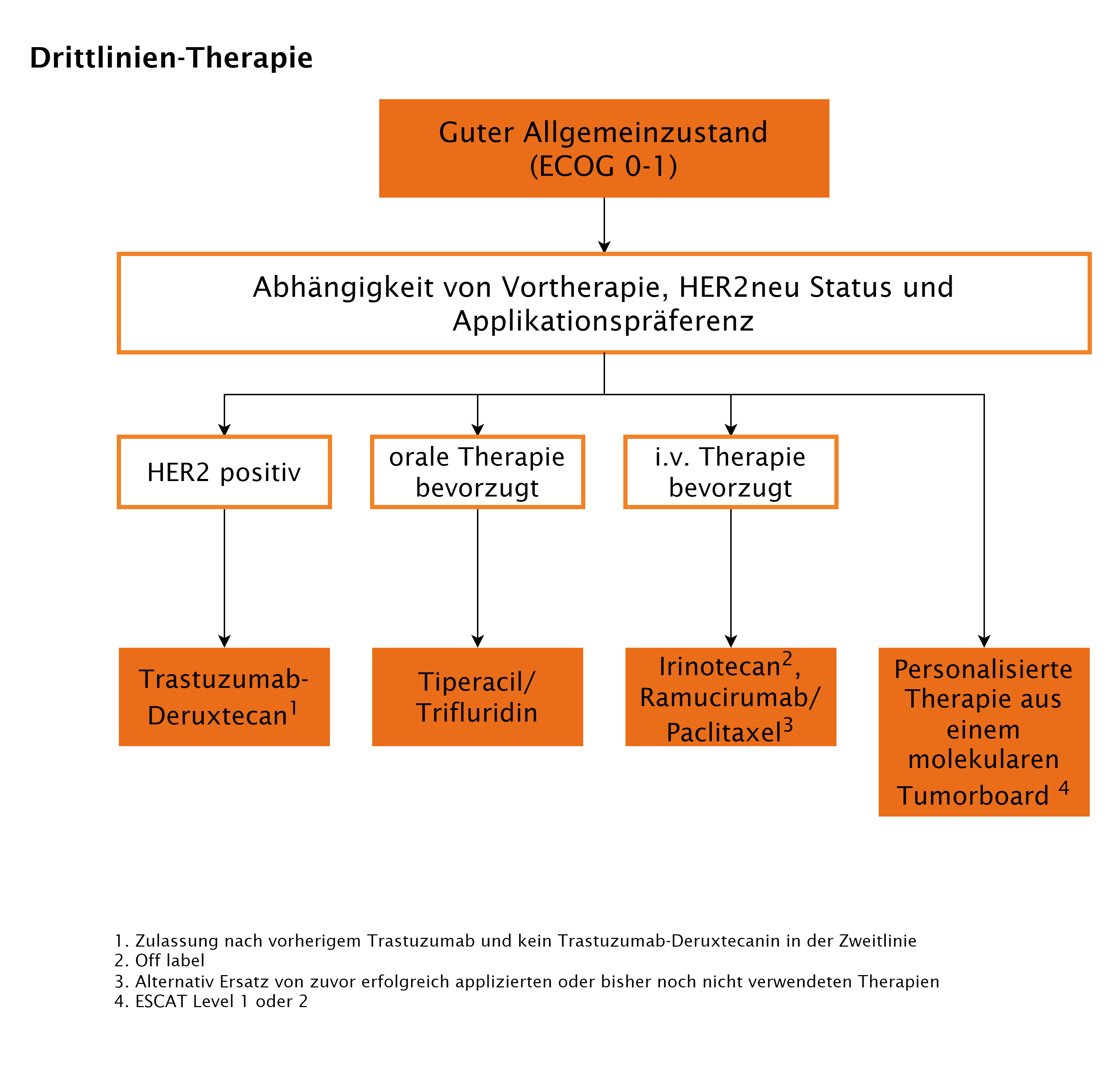 Flowchart zur Drittlinientherapie des Magenkarzinoms
