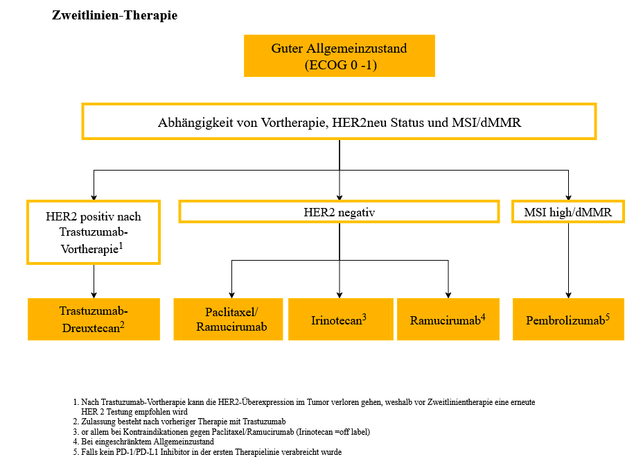 Flowchart zur Zweitlinientherapie des Magenkarzinoms