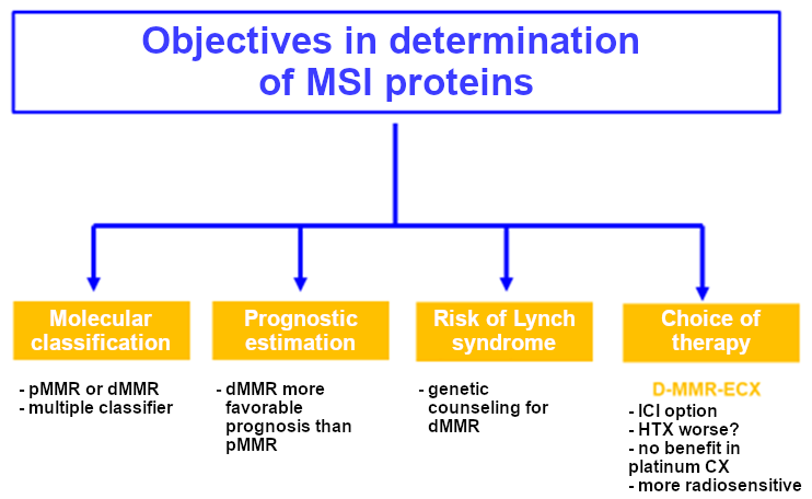 Objectives of immunohistochemical analysis of mismatch repair proteins in endometrial cancer
