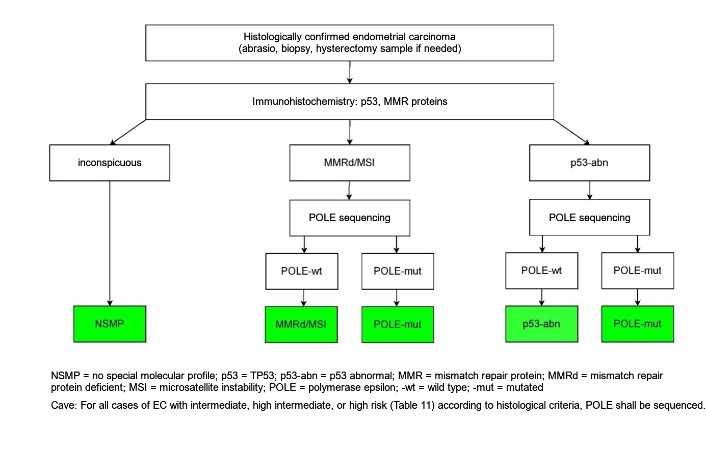 Recommended algorithm for molecular classification of endometrial cancer
