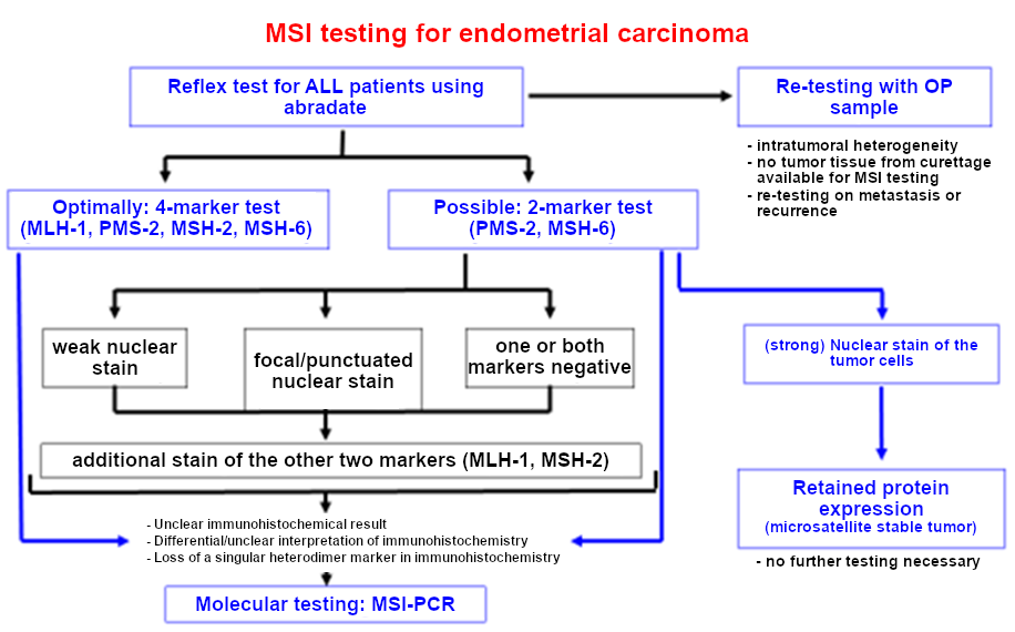 Algorithm of immunohistochemical analysis of MMR proteins in endometrial carcinoma