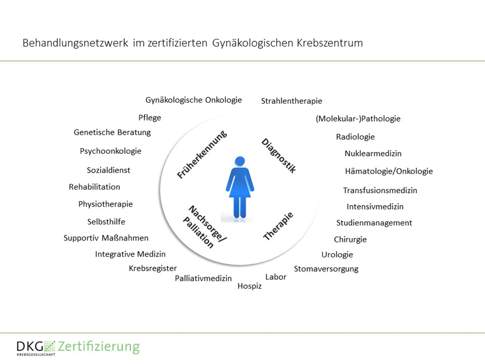Treatment network in the certified Gynecological Cancer Center