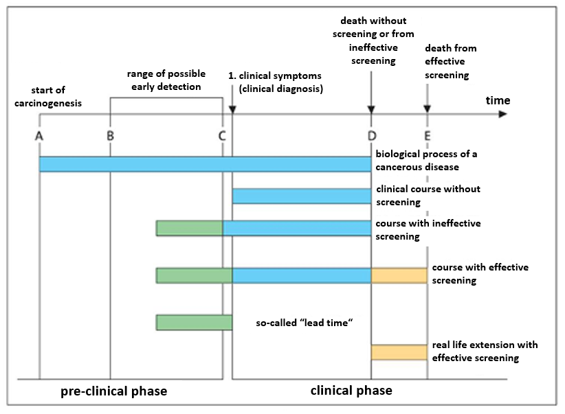 Course of a cancer disease with effective screening (Becker, 2002)