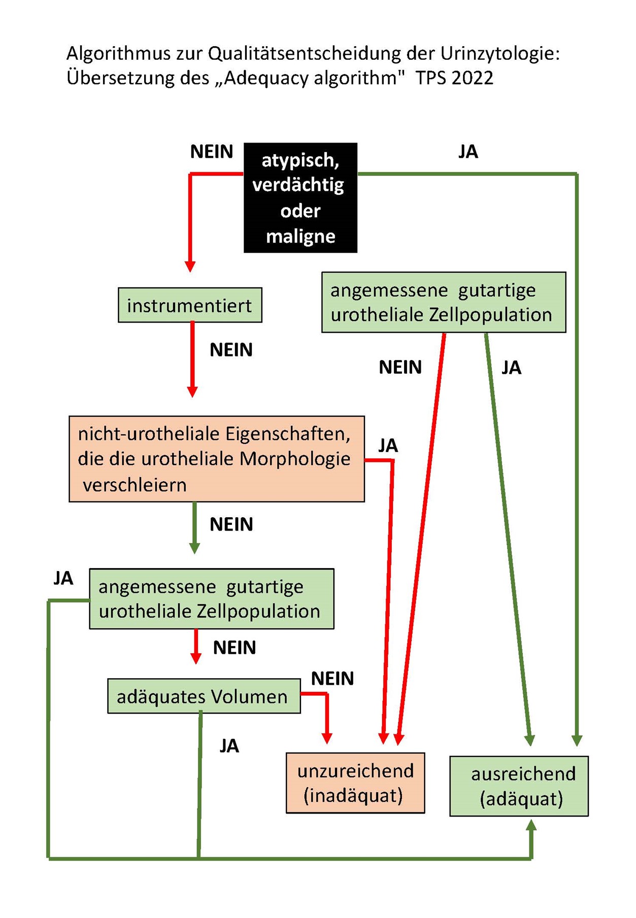 Algorithmus Urinzytologie
