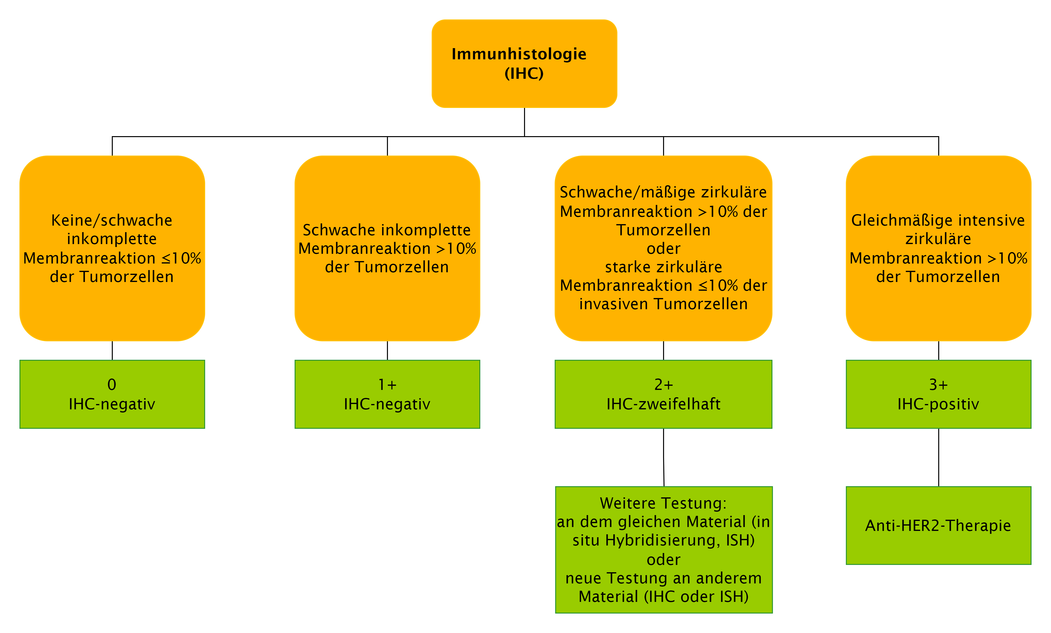 Algorithmus zur Auswertung der Immunhistochemie (IHC) entsprechend ASCO/CAP-Empfehlungen