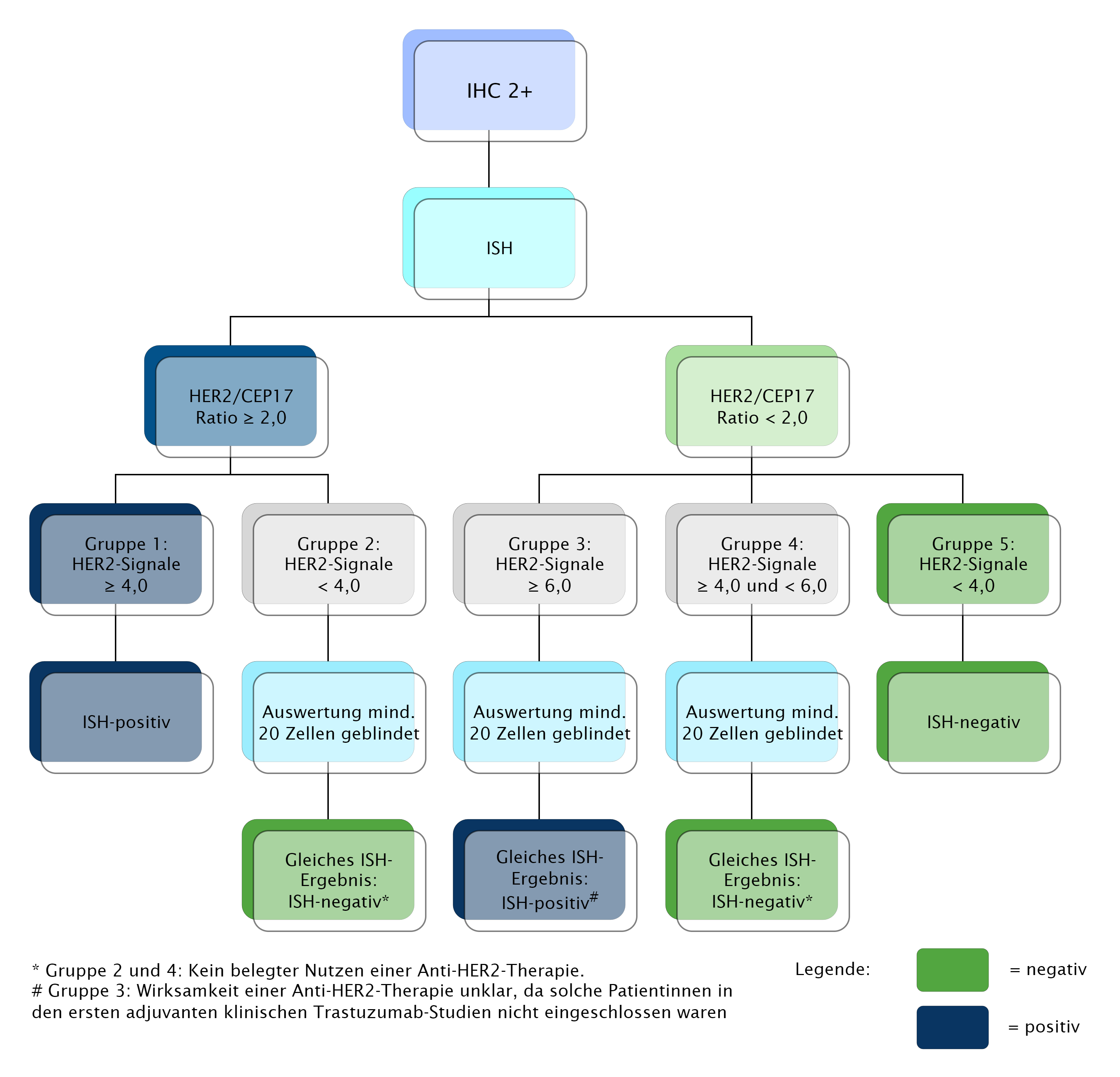 Algorithmus zur Auswertung der ISH mit dual markierten Sonden bei IHC Score 2+