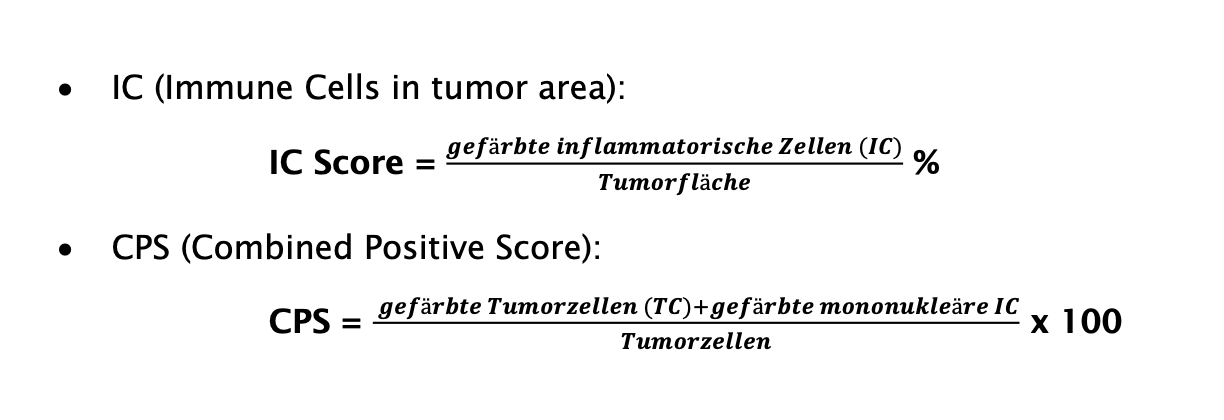 Therapierelevante Scores