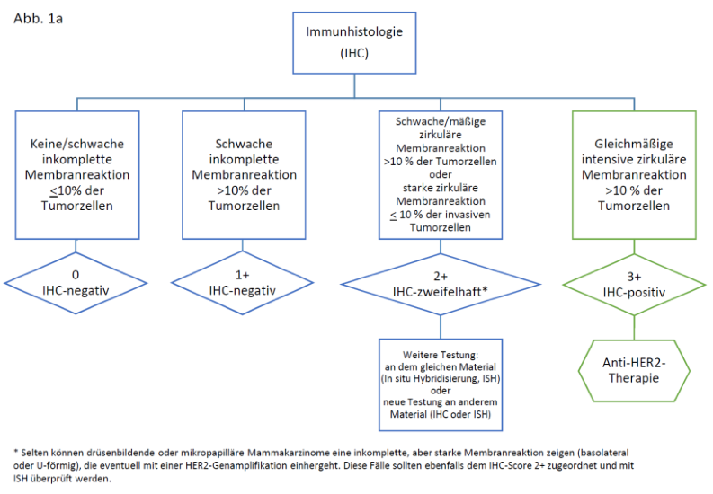 Aktuell empfohlene HER2-Testalgorithmen: (a) für die Immunhistochemie