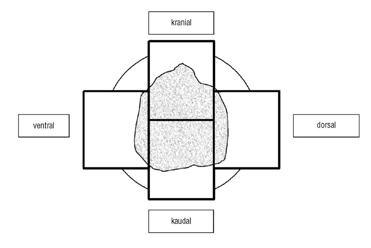 Tissue samples in patients with a palpable focal lesion