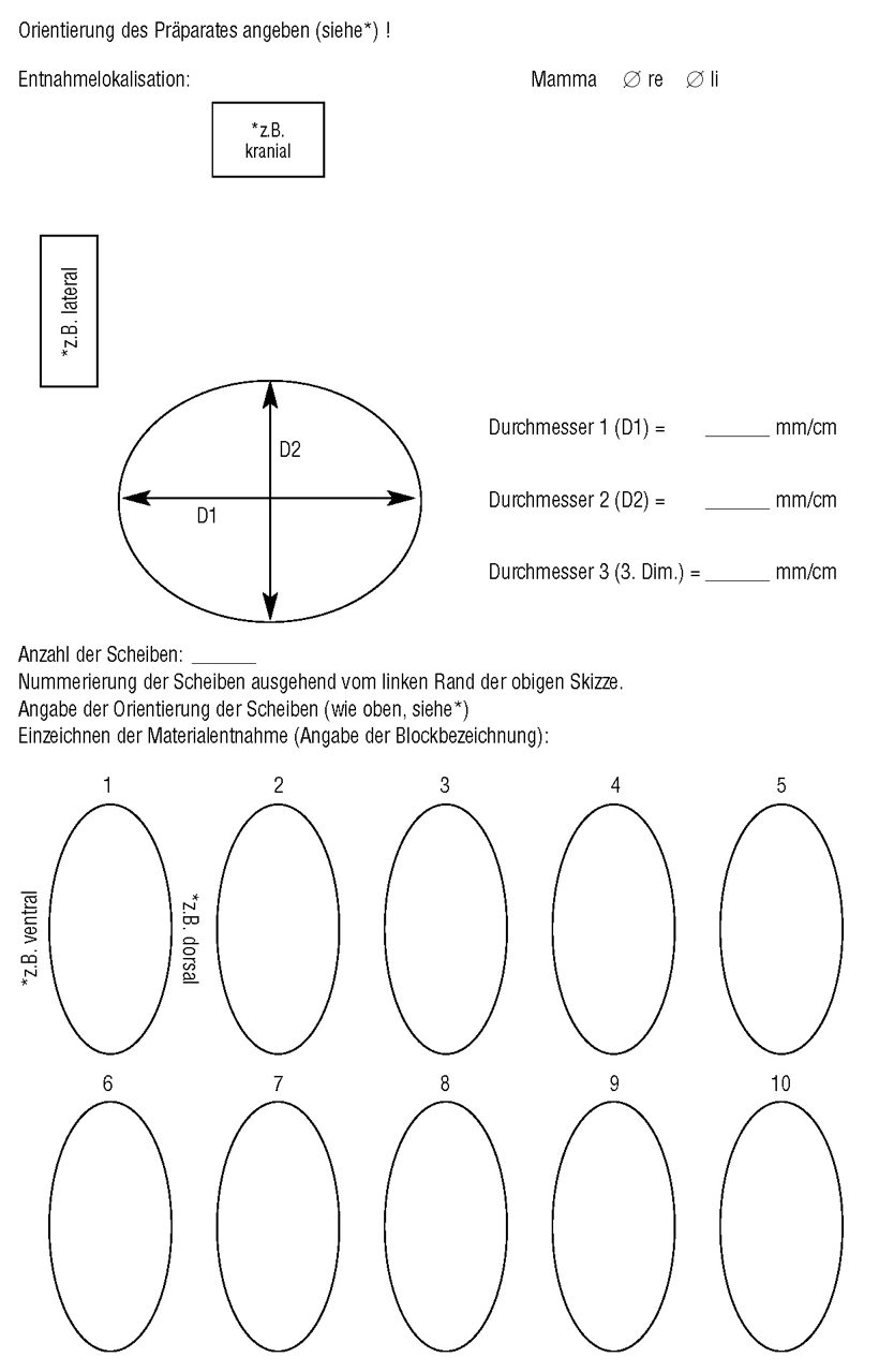 Sketch of tissue samples
