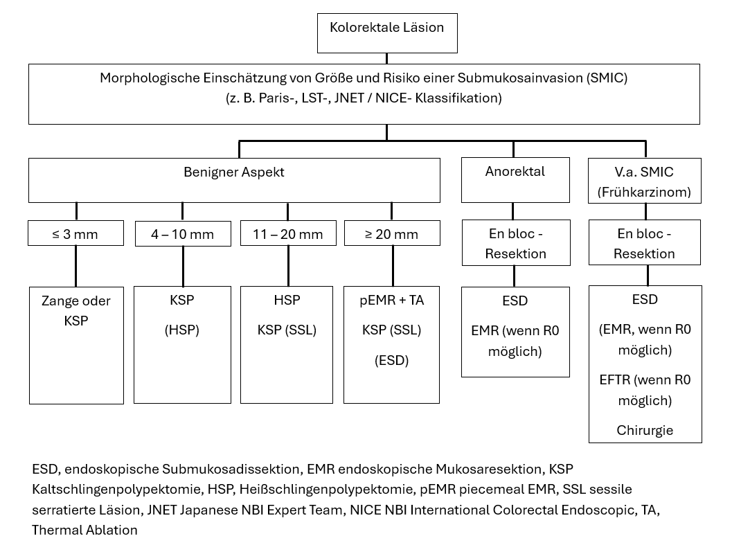 Flowchart zu geeigneten Resektionsverfahren in Abhängigkeit von der Läsion analog QS in der S2k-Leitlinie Qualitätsanforderungen in der gastrointestinalen Endoskopie v2.0