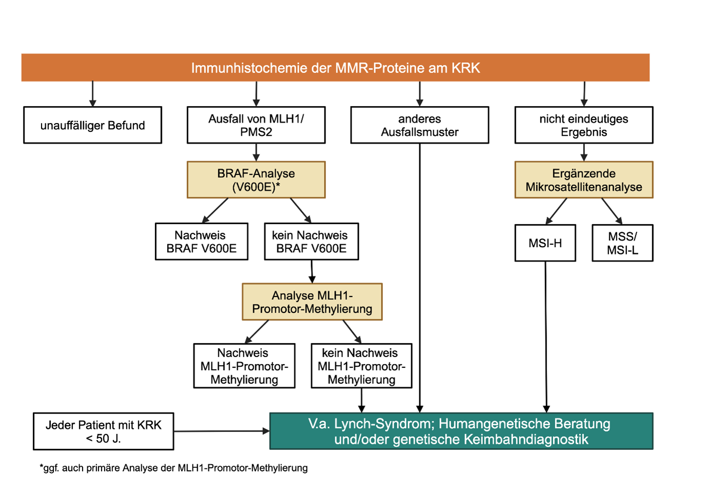 Diagnostischer Algorithmus zur MMR/MSI-Diagnostik beim kolorektalen Karzinom