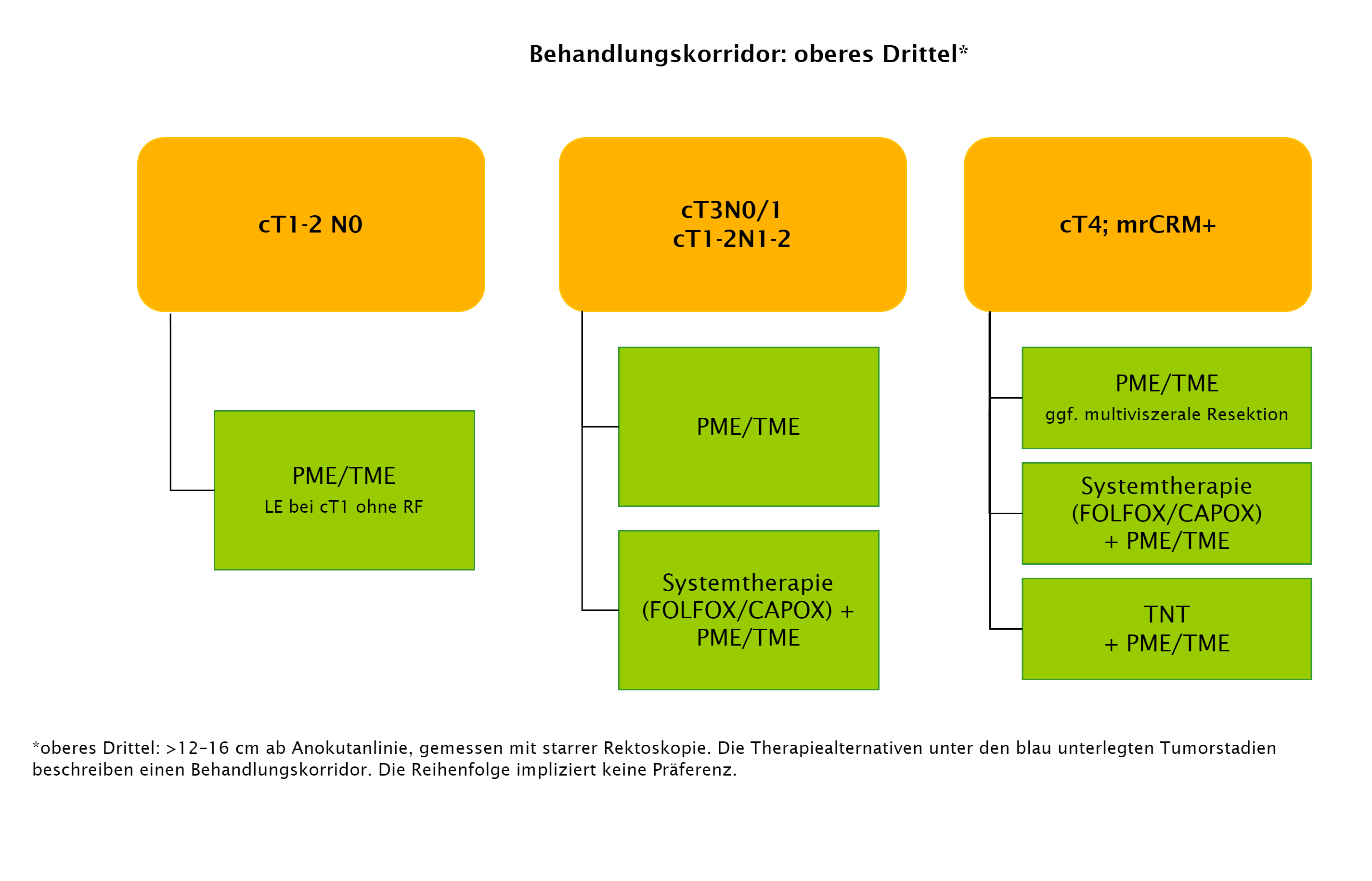 Überblick des Behandlungskorridors bei Rektumtumoren im oberen Drittel*