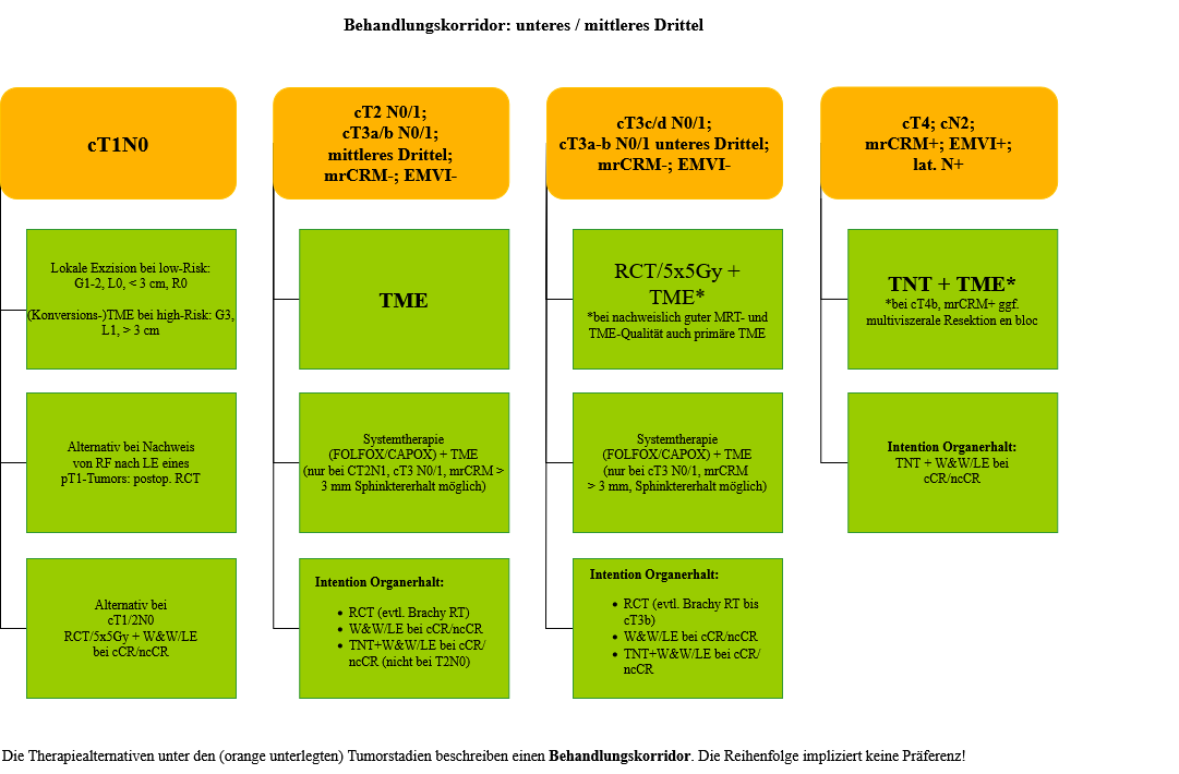 Überblick des Behandlungskorridors bei Rektumkarzinomen (MSS) im unteren und mittleren Drittel (die Reihenfolge impliziert keine Präferenz)
