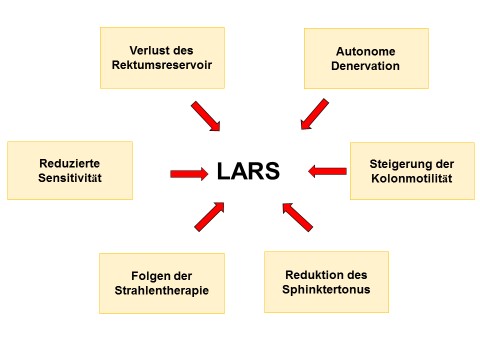 Ursachen des LARS