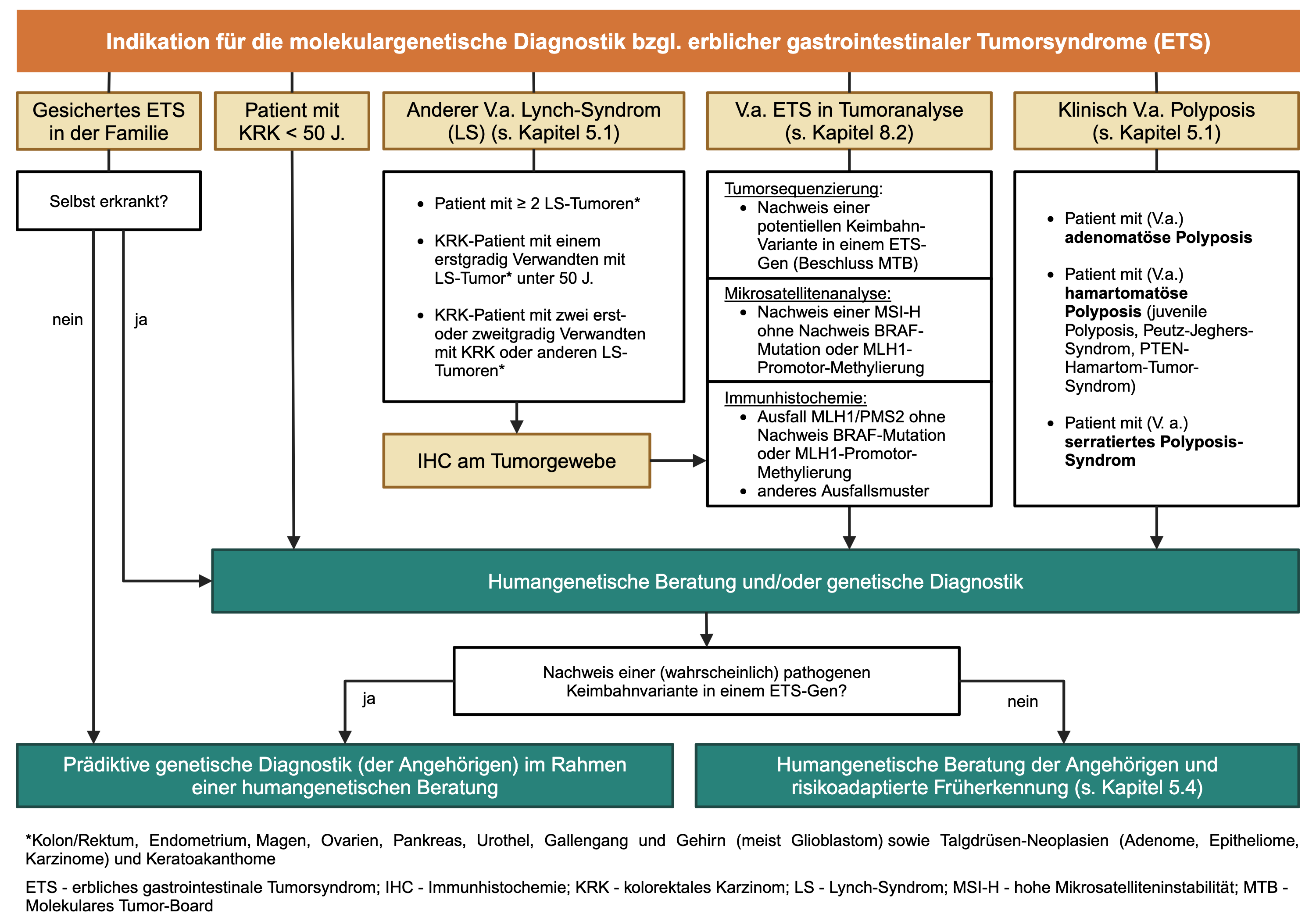 Algorithmus zum Ablauf der genetischen Diagnostik bei Patienten mit V.a. ein hereditäres Tumordispositions-Syndrom am Beispiel des HNPCC-/Lynch-Syndroms.