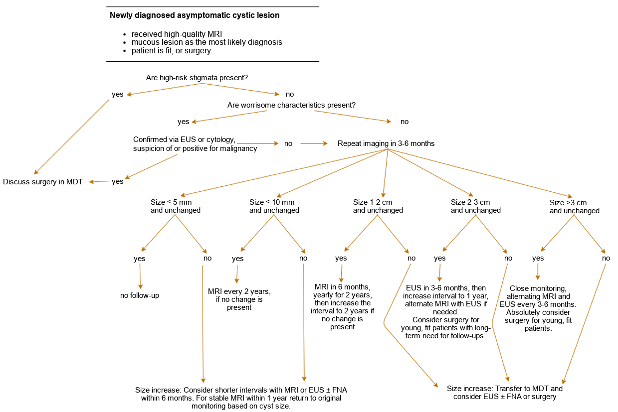 Algorithm for therapy monitoring and therapy of a cystic lesion of the pancreas