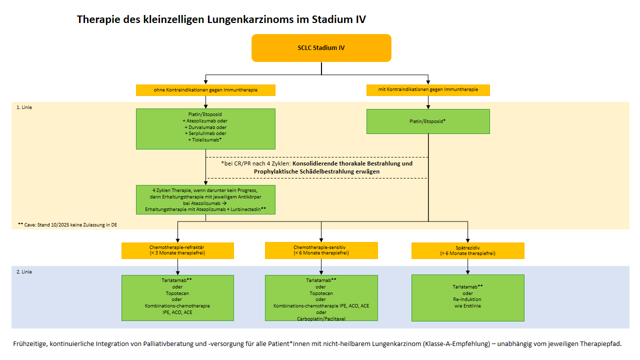 Flowchart systemische Therapie SCLC Stadium IV