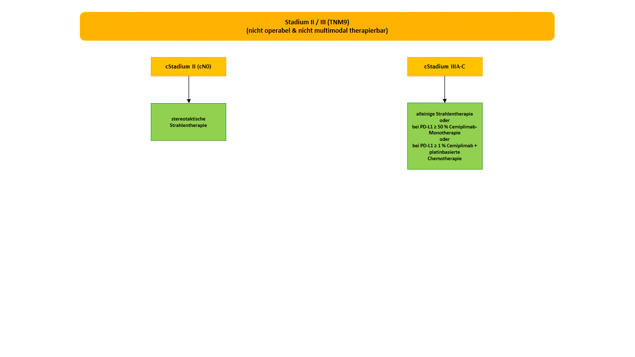 Flowchart NSCLC Stadium II/III nicht resektabel und nicht multimodal