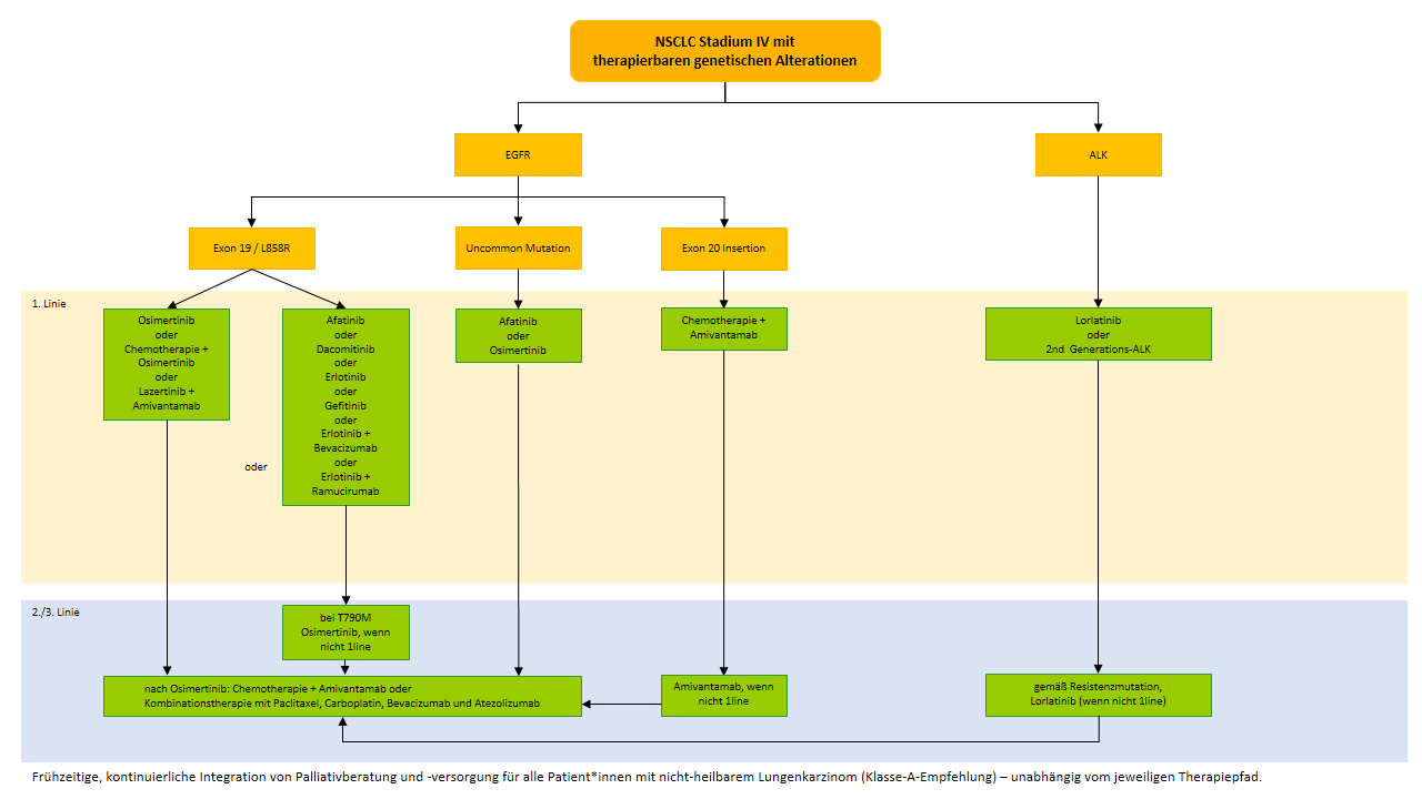 Flowchart NSCLC IV mit therapierbaren Treibermutationen - EGFR & ALK
