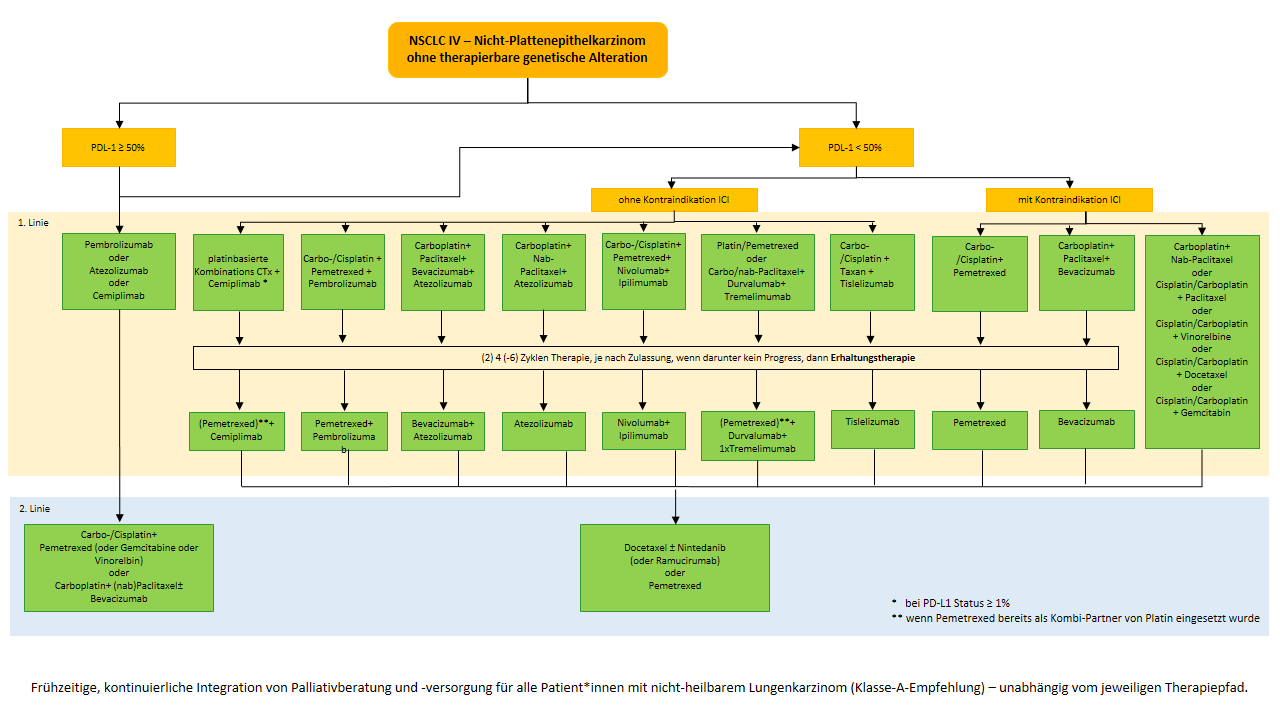 Flowchart NSCLC IV Nicht-Plattenepithelkarzinom ohne therapierbare genetische Alteration