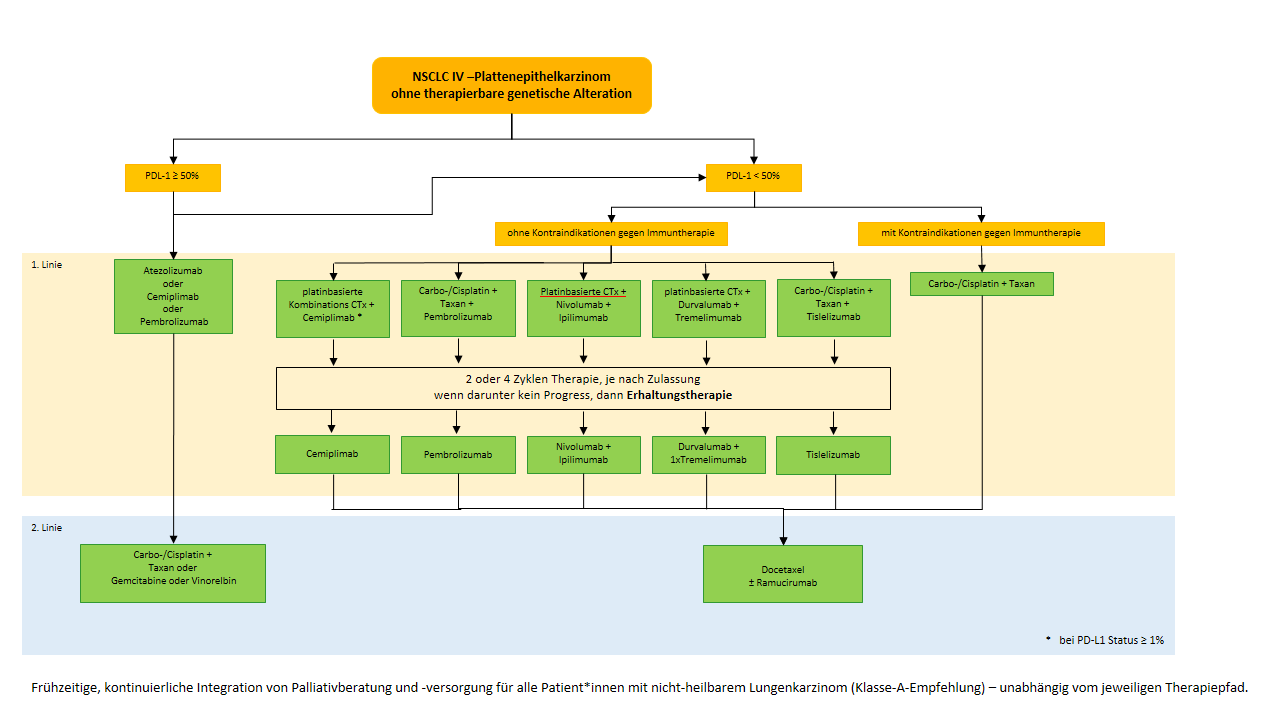 Flowchart NSCLC IV Plattenepithelkarzinom ohne therapierbare genetische Alteration