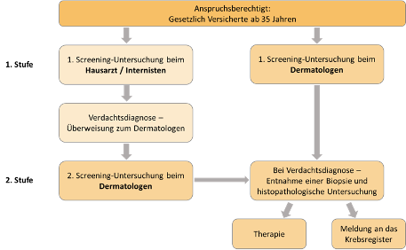 Schematische Darstellung des multidisziplinären zweistufigen Ansatzes der bevölkerungsbezogenen Früherkennung von Hautkrebs