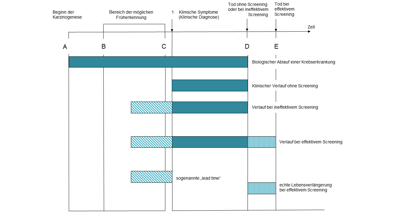 Theoretische Ergebnisse des effektiven und ineffektiven Screenings