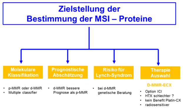 Zielstellung der immunhistochemischen Analyse der mismatch repair Proteine beim Endometriumkarzinom