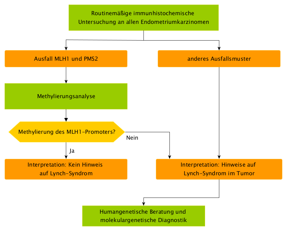 Ablauf der MMR-Diagnostik bei auffälligem Befund in der immunhistochemischen oder molekular-pathologischen Untersuchung