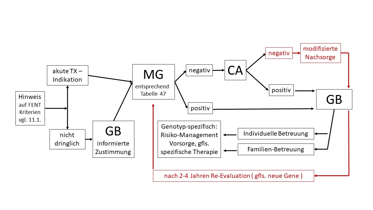 Abklärungs-Algorithmus zum familiären erblichen Nierentumor (FENT):