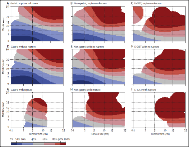 Contour maps to estimate the risk of GIST recurrence after surgery.