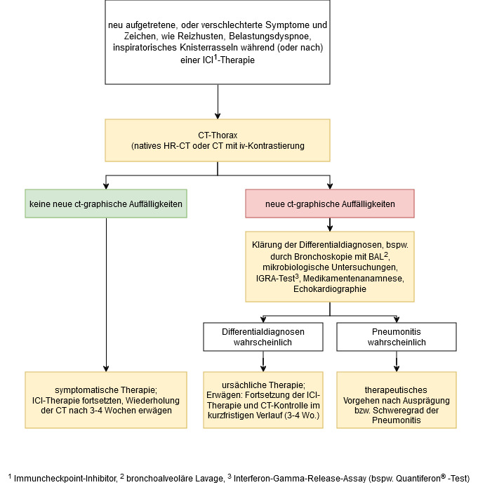 Diagnostisches Vorgehen bei Verdacht auf irPneumonitis