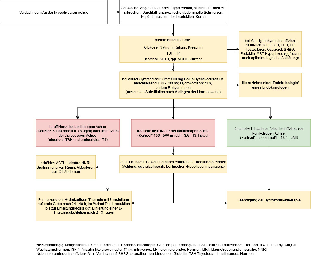 Diagnostik und Management bei irAE der hypophysären Achse
