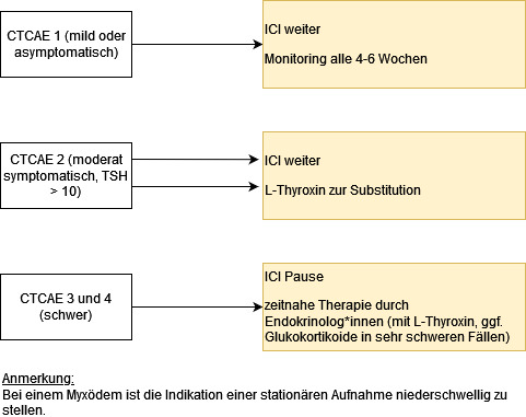 Therapie der irHypothyreose