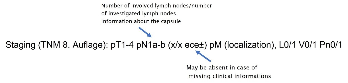 It is recommended that the TNM classification is always given in full according to this pattern.